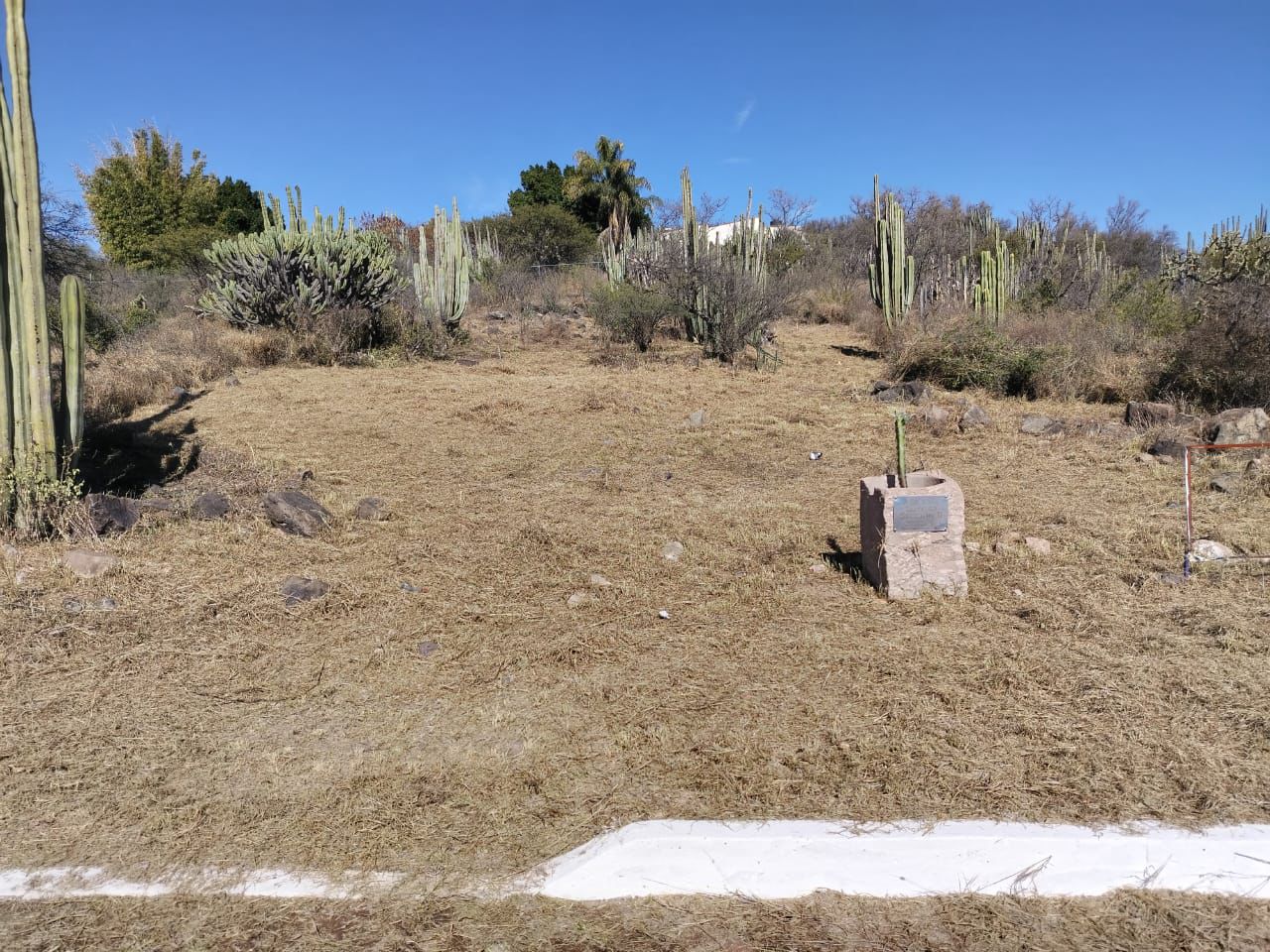 Scenic Country Land with Adjacency to Reserve