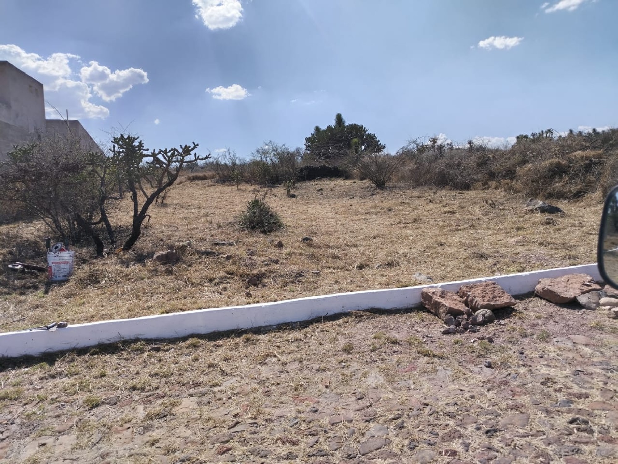 Well-Located Lot with Scenic Views