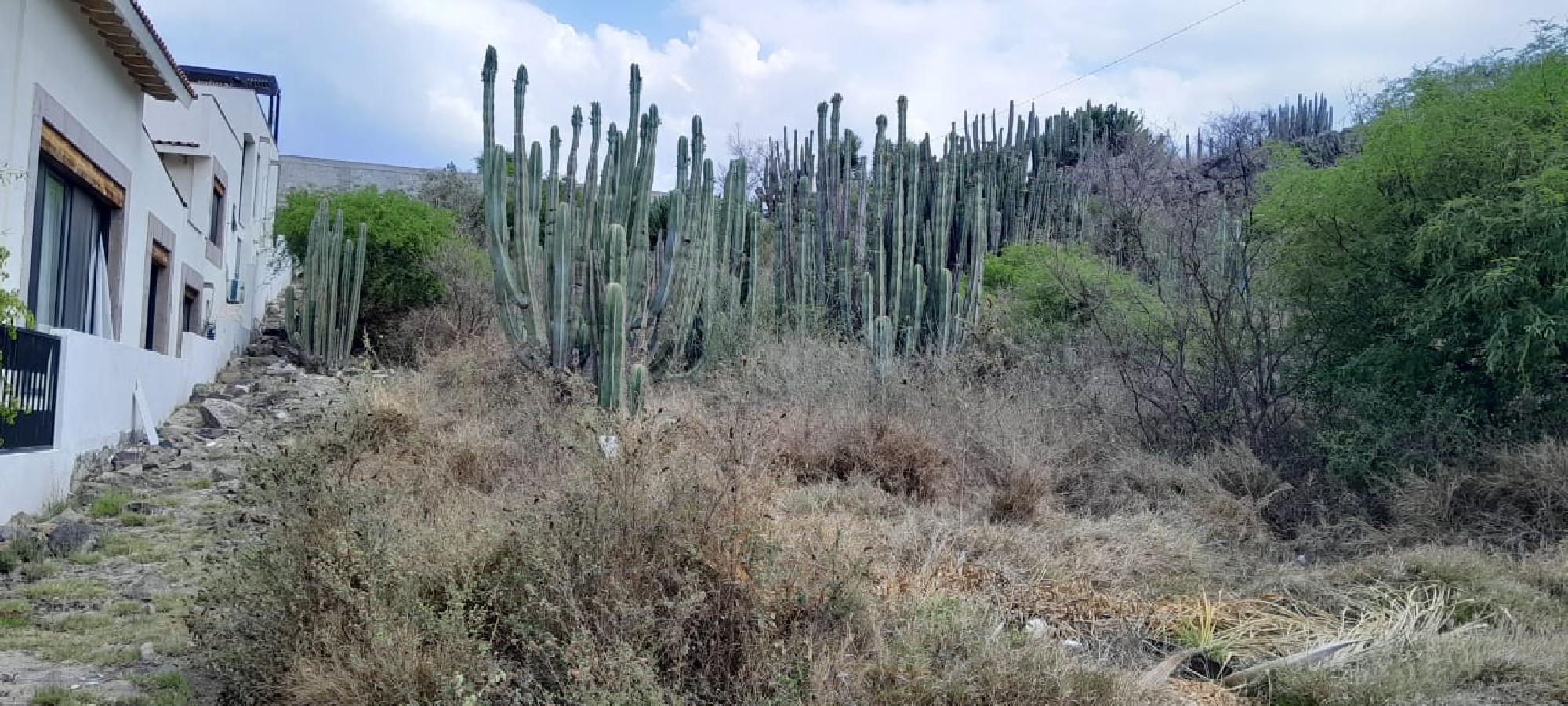 Terreno con Excelente Ubicación y Acceso Cercano