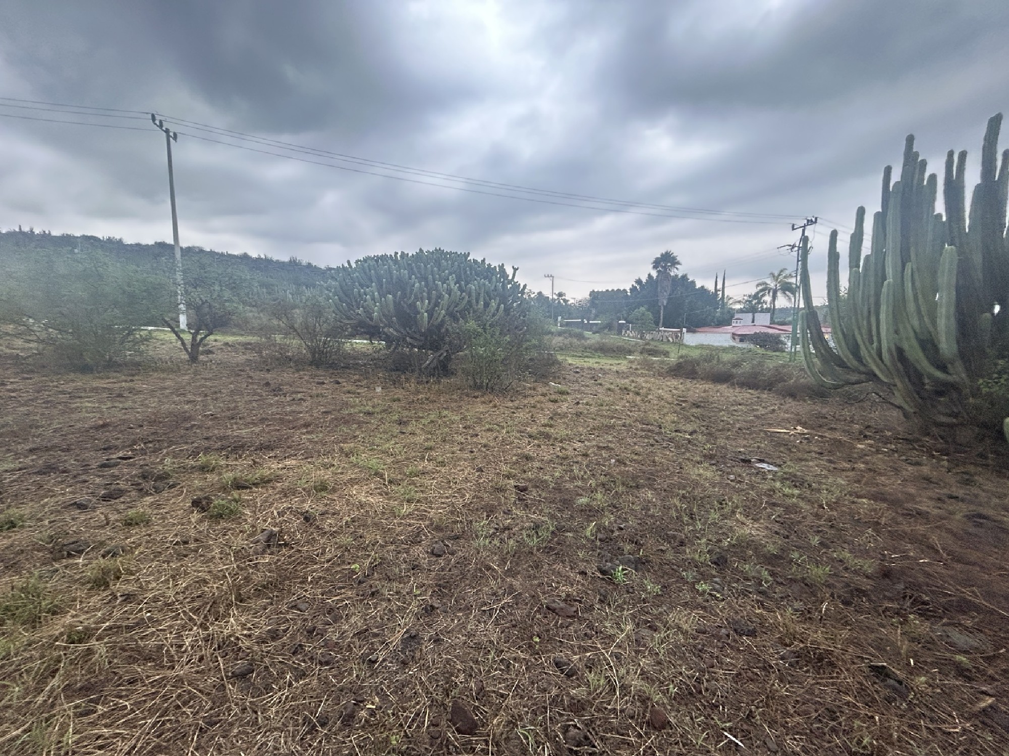 Country Lot: Panoramic View and Nature Reserve