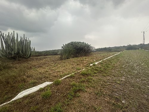Country Lot: Panoramic View and Nature Reserve