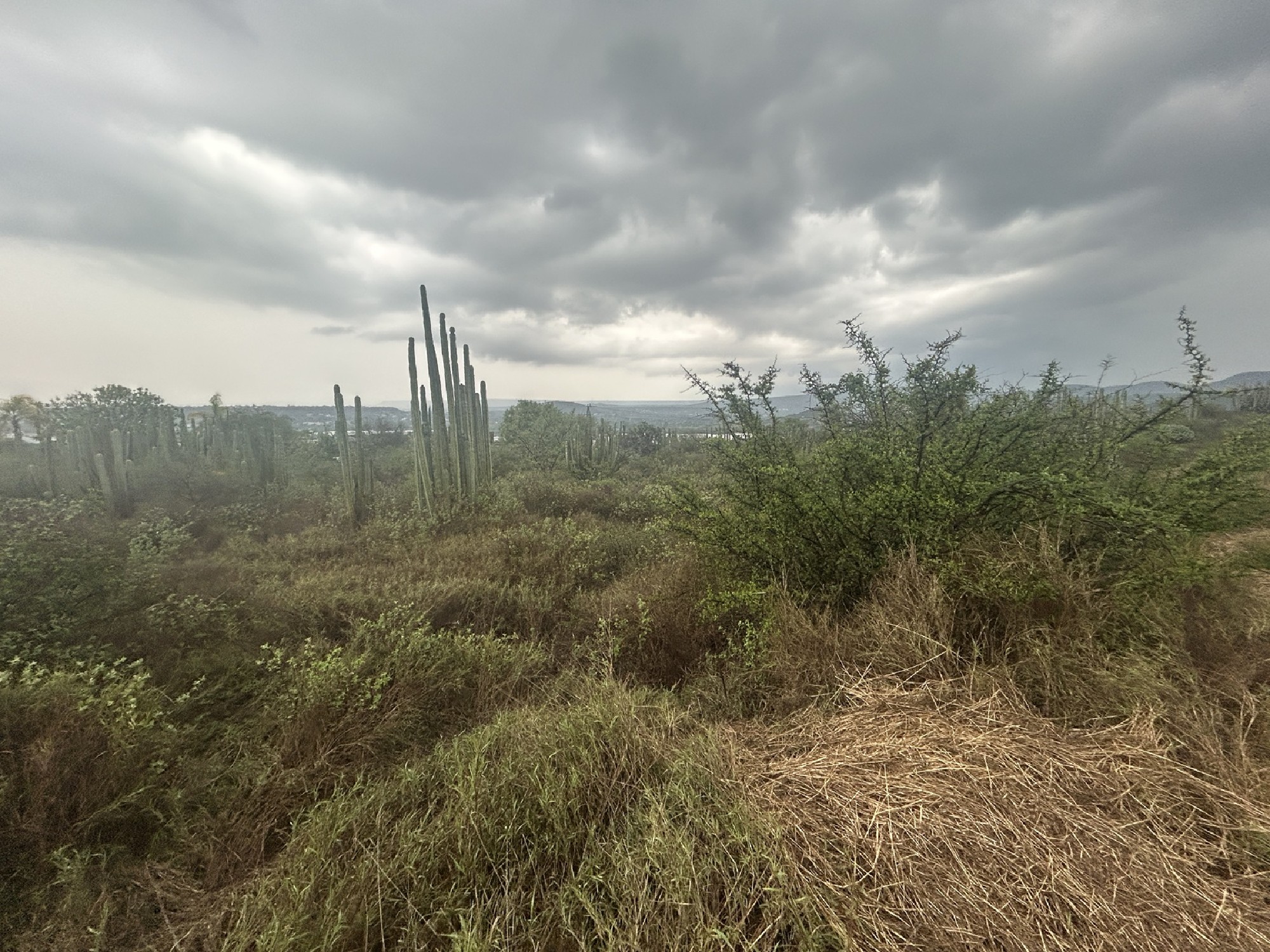 Excellent Residential Lot Adjacent to a Reserve