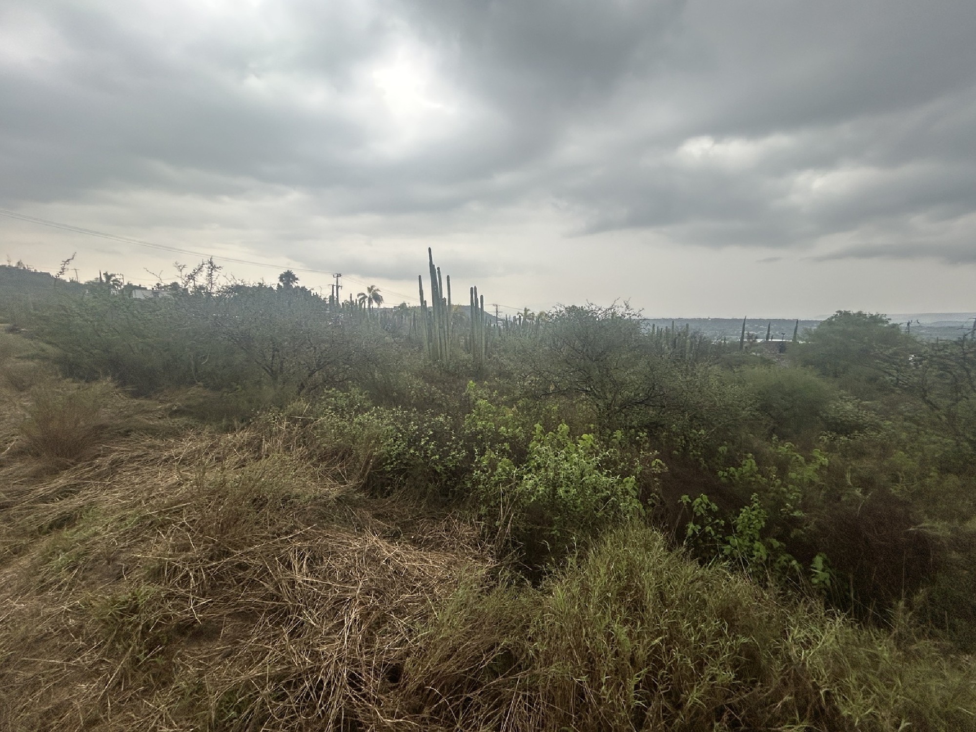 Excellent Residential Lot Adjacent to a Reserve