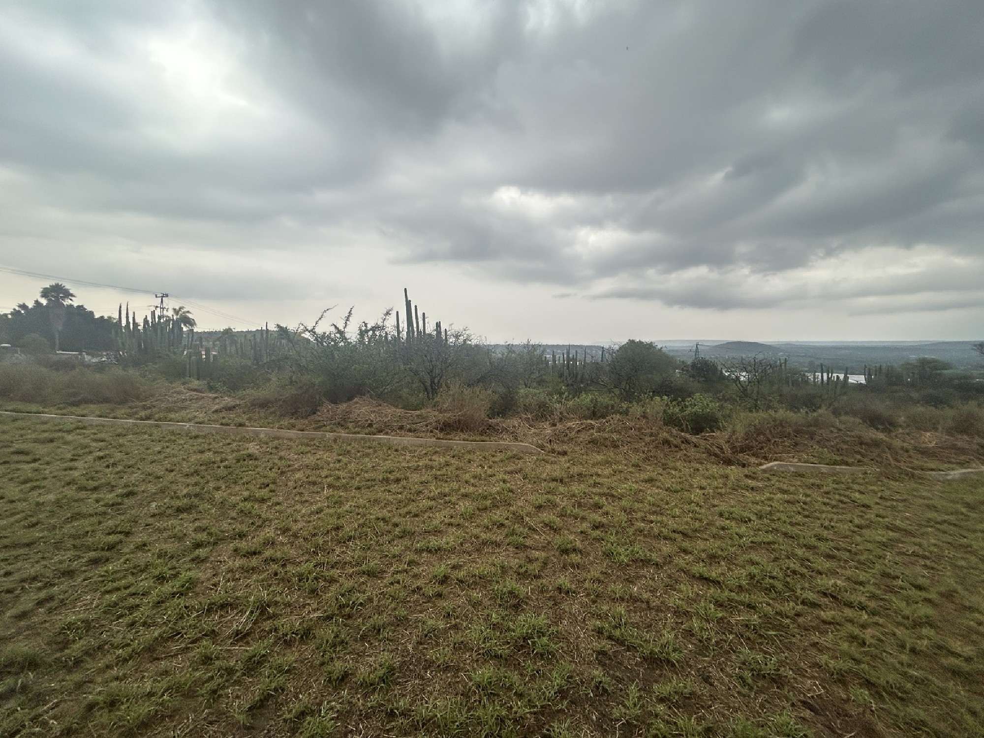 Excellent Residential Lot Adjacent to a Reserve