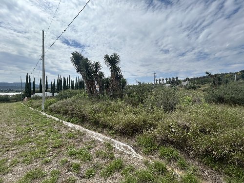 Excelente Terreno Plano en la Primera Sección de Yexthó