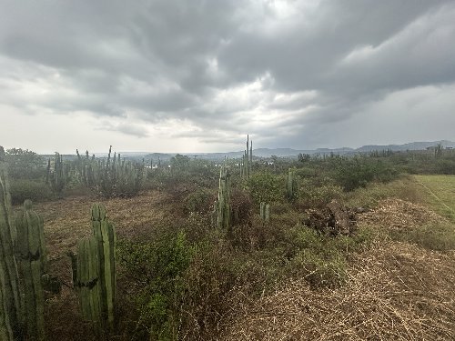 Terreno Residencial en Reserva con Gran Potencial