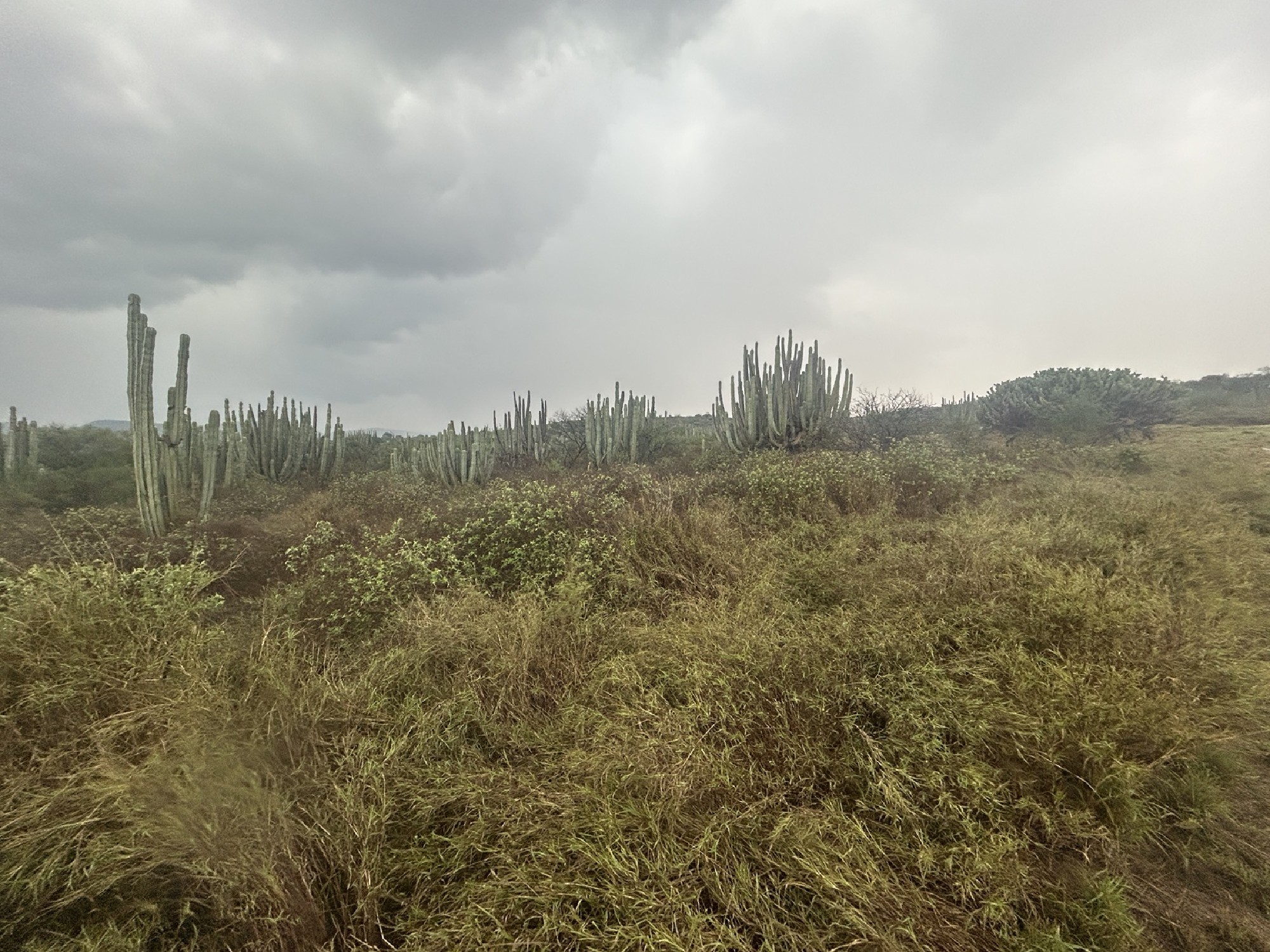 Scenic Country Land with Adjacency to Reserve