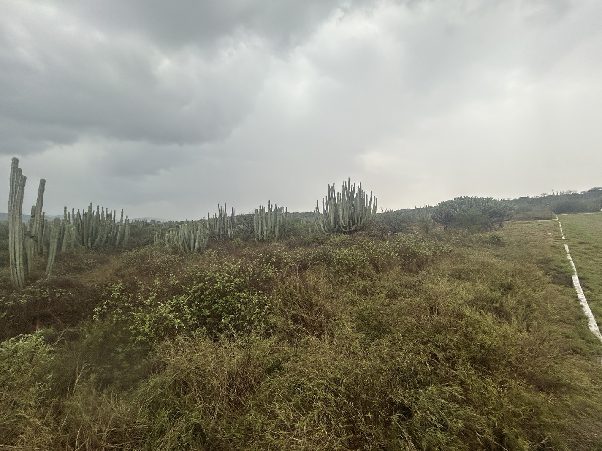 Scenic Country Land with Adjacency to Reserve