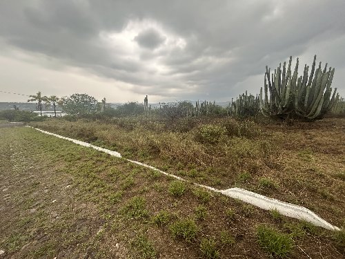 Terreno Campestre Panorámico con Colindancia a Reserva